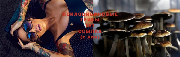 первитин Алексеевка