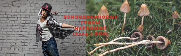 гидропоника Алзамай