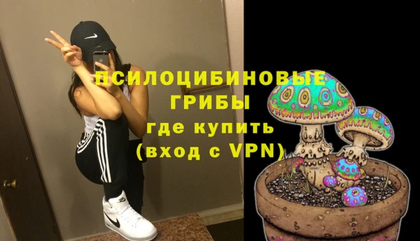 гидропоника Алзамай