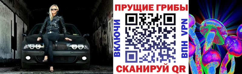 Галлюциногенные грибы GOLDEN TEACHER  Советский 